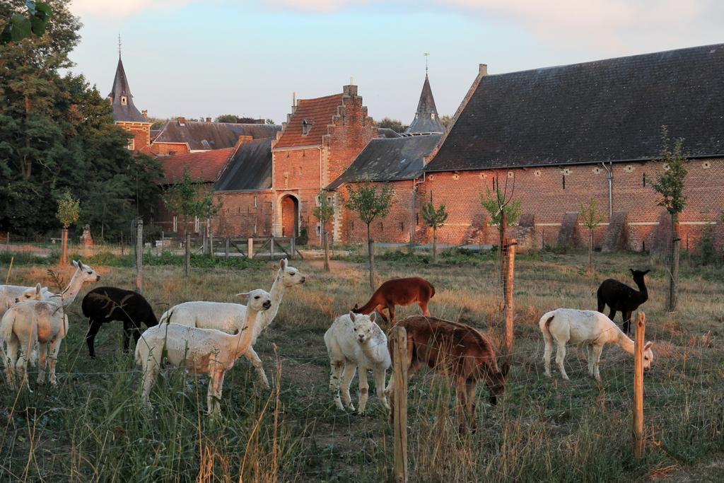 Appartement Kasteel Nieuwenhoven à Saint-Trond Extérieur photo